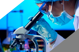 Revisión Científica I: Bases de la Investigación Científica