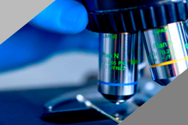 Histología de los Tejidos Buco maxilo Faciales